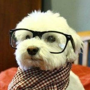 Meet your Posher, Brandy